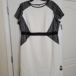 Roz and Ali Dress NWT cream and black. Size 22W